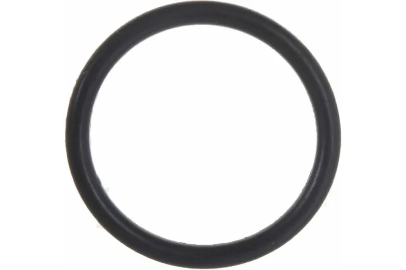 00-00545892_1