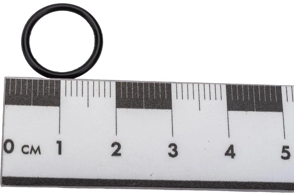 00-00545895_2