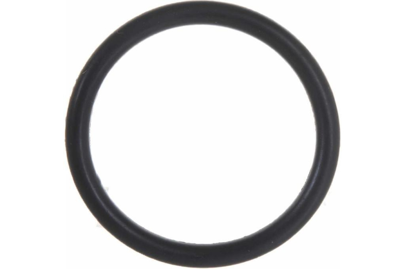 00-00545892_1