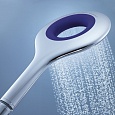 Ручной душ Grohe Rainshower Icon 27449000