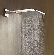 Верхний душ Hansgrohe Raindance E 300 1jet с держателем бронза 26238140