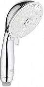 Душевая лейка Grohe New Tempesta Rustic 27608001